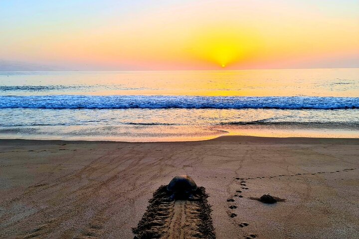 4 Days 3 Nights Package Oman Private Tour - Image 2