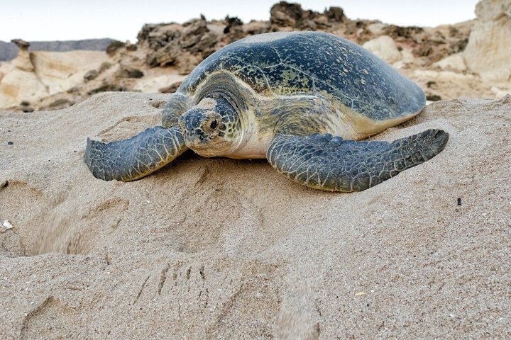 5 Days Jewels Of Oman Package - Image 3