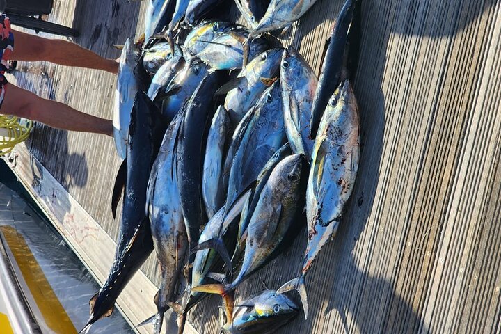 6-Hour Private Fishing in Muscat - Image 4