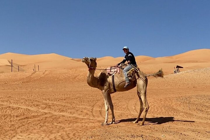 7-8 Hours Private Desert Adventure Trip with Activities - Image 3