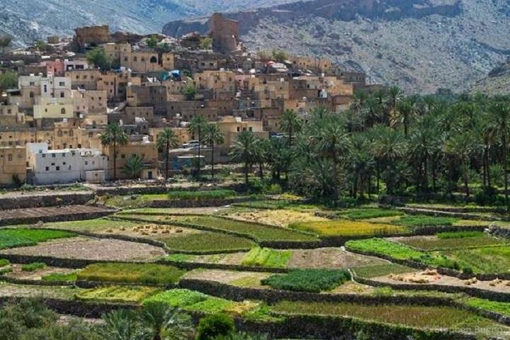 Billad Sayt (Day trip) 4WD :Oman Shore excursions - Image 2