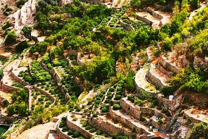 Birkat Al Mouz & Jebel Akhdar Oman full day adventure tour - Image 2