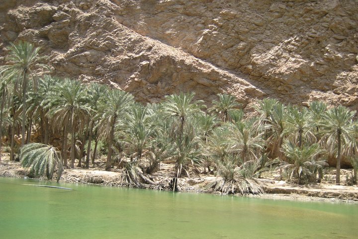 Coastal Tour and Wadi Hike from Muscat - Image 2
