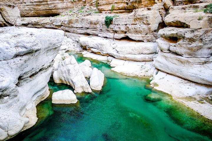 Coastal Trip, Oman - Image 3