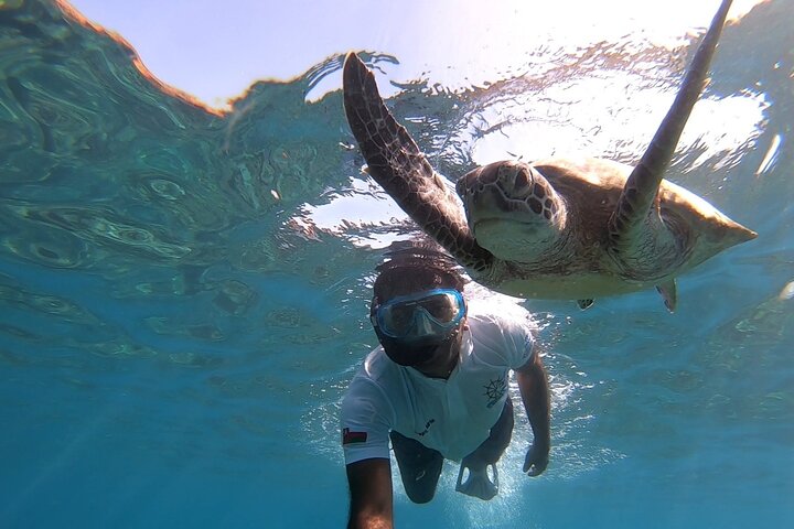 Cruises to Daymaniyat & Snorkeling - Image 4