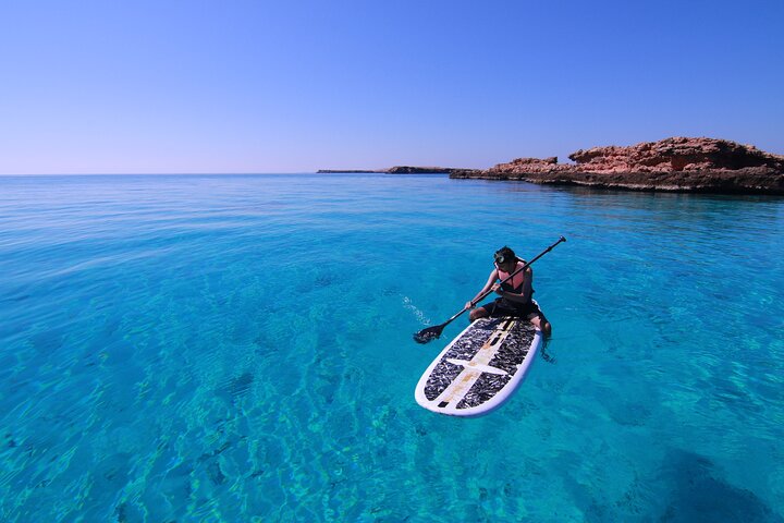 Cruises to Daymaniyat & Snorkeling - Image 2