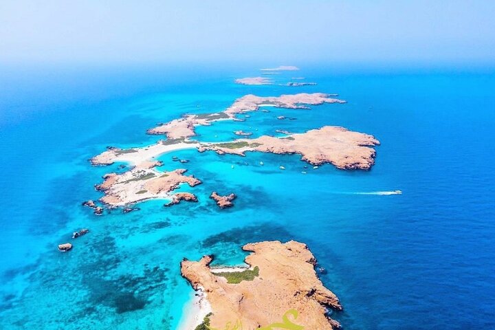 Daymaniyat island Natural Reserve and Dolphin Watching - Image 2