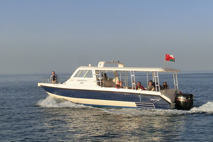 Daymaniyat island Natural Reserve and Dolphin Watching - Image 1