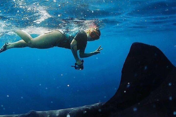 Daymaniyat Islands Snorkeling Half-Day Tour - Image 2