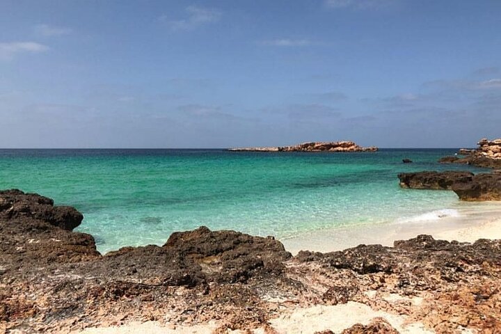 Daymaniyat Islands Snorkeling Half-Day Tour - Image 5