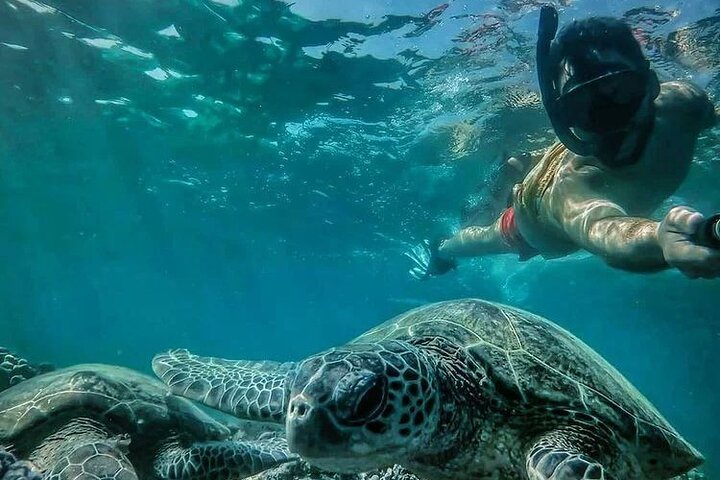 Daymaniyat Islands Snorkeling Half-Day Tour - Image 3