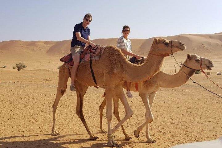 Desert Safari & Camping Private Tour  - Image 4