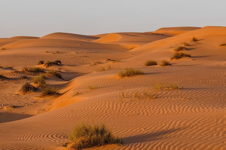 Desert Safari Private - Image 2