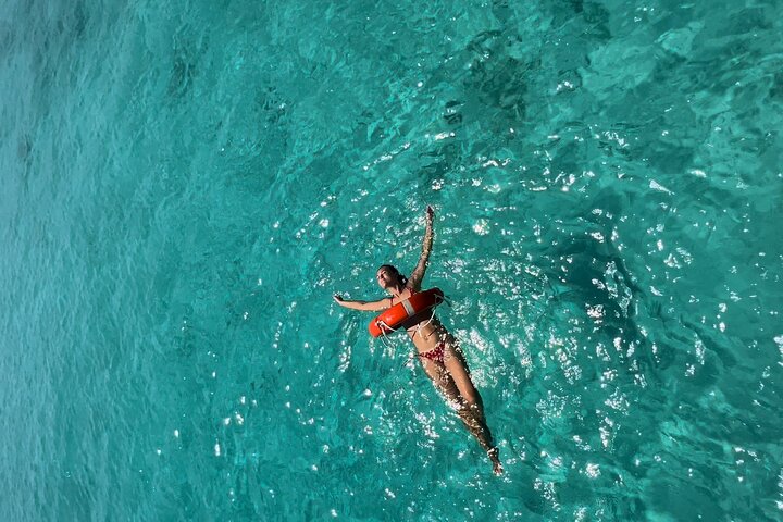 Dimaniyat Island Tour  - Image 4