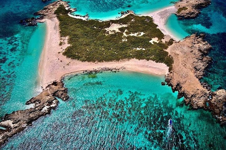 Dimaniyat Island Tour  - Image 5