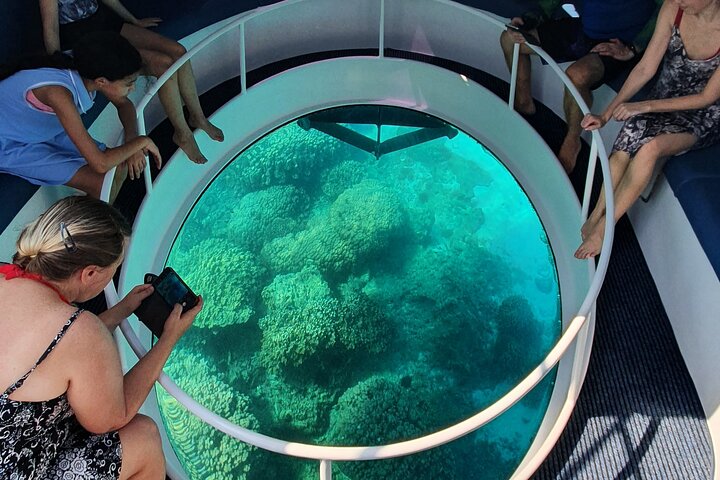 Dimaniyat Island Tour on Glass Bottom Boat (Muscat) - Image 1