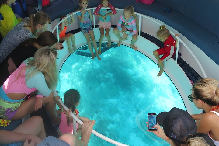 Dimaniyat Island Tour on Glass Bottom Boat (Muscat) - Image 5