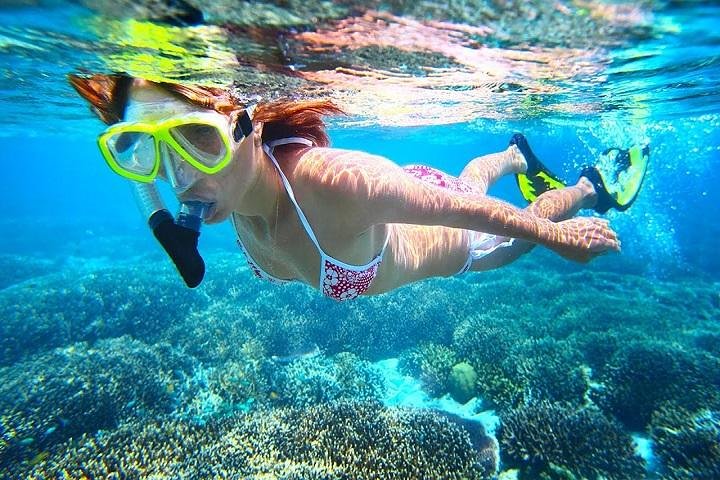 Dolphin Watching and Snorkeling Tour from Muscat - Image 3