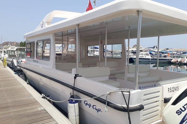 Dolphin Watching in Muscat - Image 4