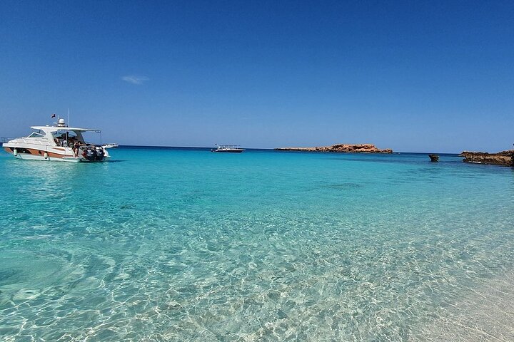 Full Day Dimaniyat Island Excursion - Image 1