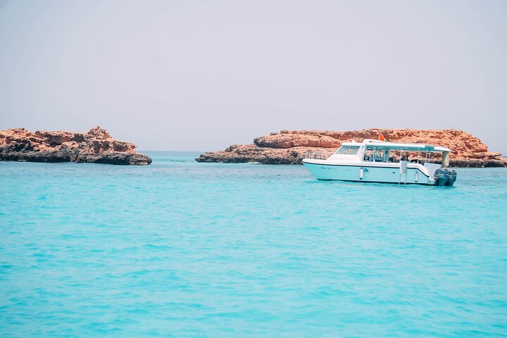 Full Day Dimaniyat Island Excursion - Image 2