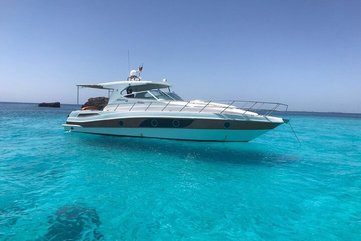 Full Day Dimaniyat Island Excursion - Image 5