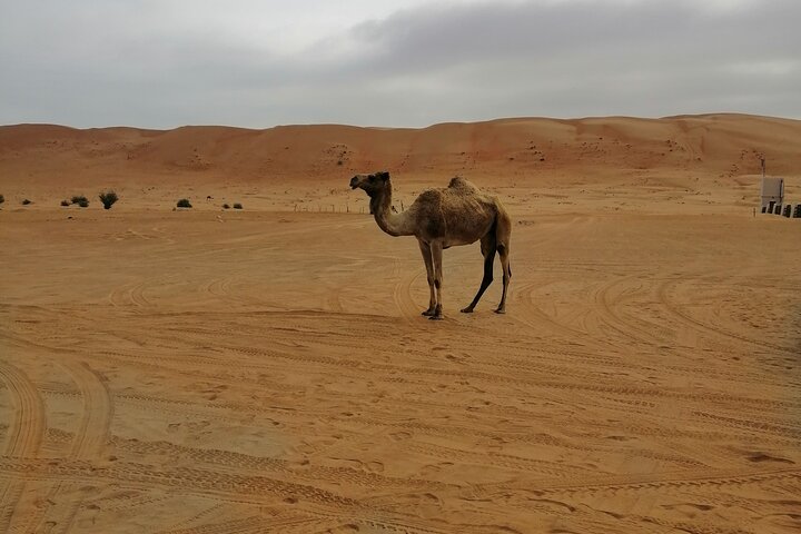 Full Day Excursion Bedouin Way Wahiba Sands & Wadi Bani Khalid By 4wd - Image 3