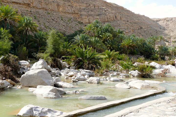 Full Day Excursion Bedouin Way Wahiba Sands & Wadi Bani Khalid By 4wd - Image 4
