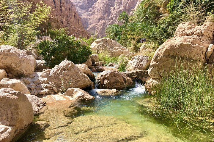 Full-Day Private Guided Wadi Shab and Bimmah Sink Hole Tour - Image 4