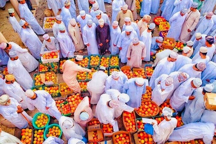 Full Day Private Nizwa and Jebel Akhdar - Image 2