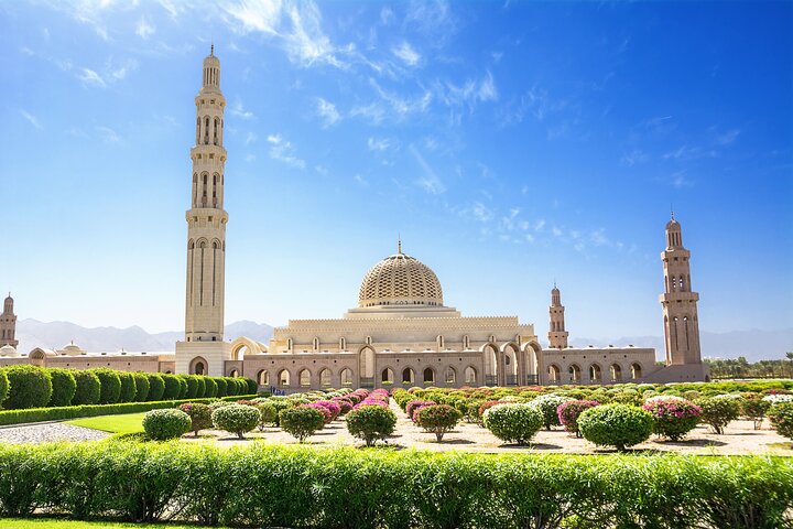 Full Day Private Shore Tour in Muscat from Muscat Cruise Port - Image 1