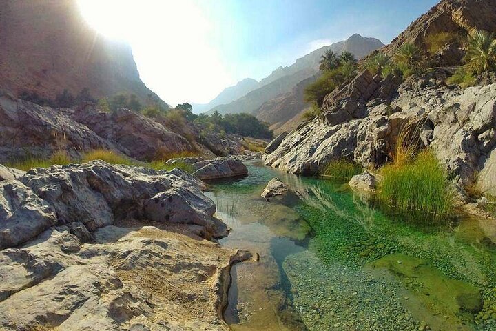 Full-Day Private Wadi Al Arbeieen Tour - Image 2