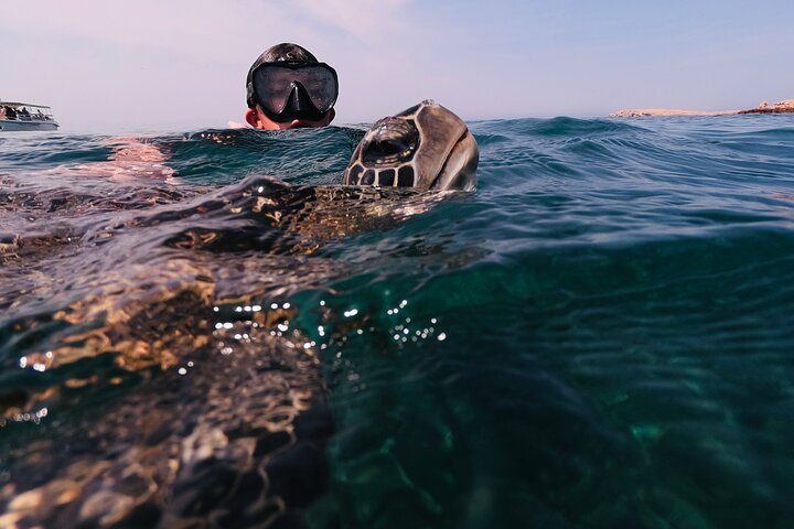 Half Day Boat Trip and Snorkeling at Daymaniyat Island - Image 5