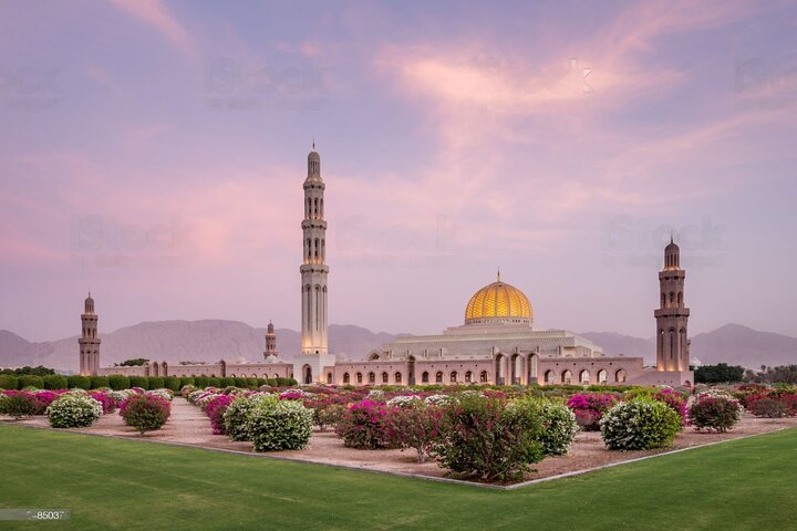 Half - Day Muscat City Bus Tours - Image 1
