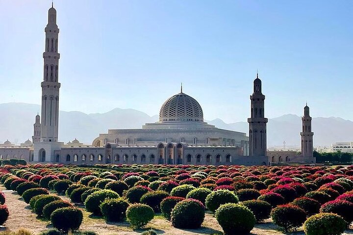 Half Day Private Muscat City Afternoon Tour - Image 1