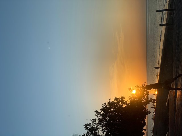 Half day visit to Muscat - Image 1