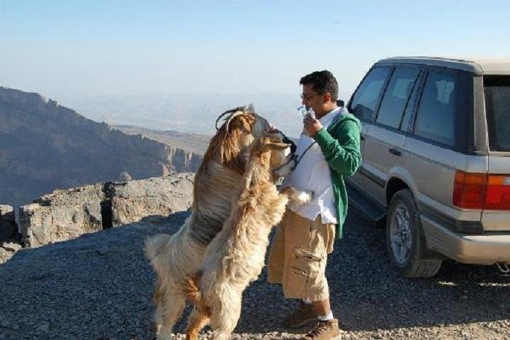 Jabl Shams with Nizwa for tours and sightseeing - Image 1