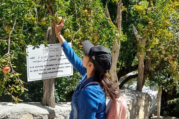 Jebel Akhdar Al Suwjara - Birkat Al Mouz Ruins - Private Full Day Tour - Image 1