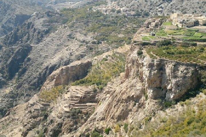 Jebel Akhdar Cool and Green (Muscat tours):Oman Shore excursions - Image 2