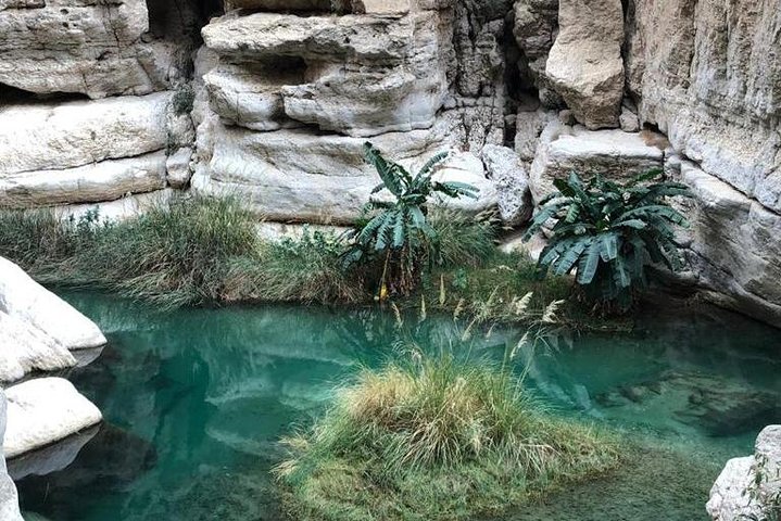  Muscat City and Wadi Shab Private Full Day Tour - Image 4