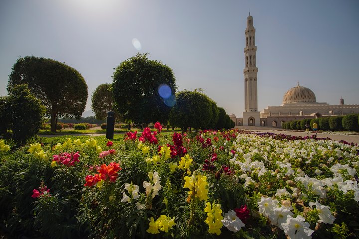 Muscat City Tour Half Day - Private Guided Tour with Omani Guide - Image 2