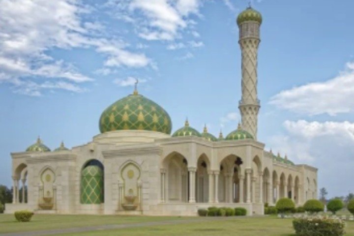 Muscat Shore Excursion:Muscat city tour with the Grand Mosque - Image 5