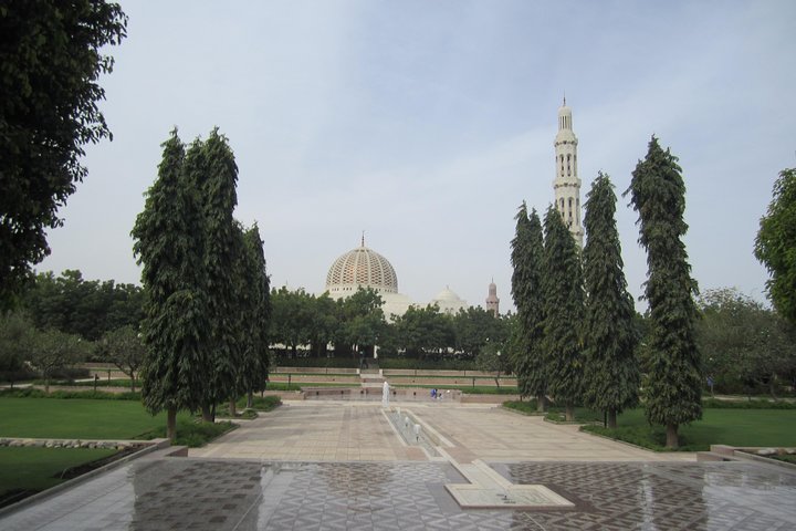 Mystical Muscat  - Image 5