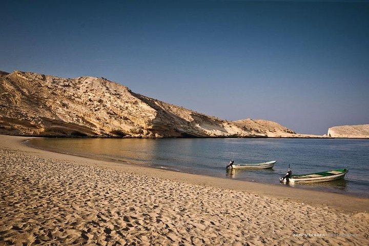 Mystical Muscat  - Image 4