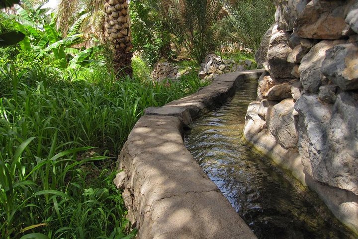 Nizwa Full Day (Muscat tours) : Oman Shore excursions - Image 4