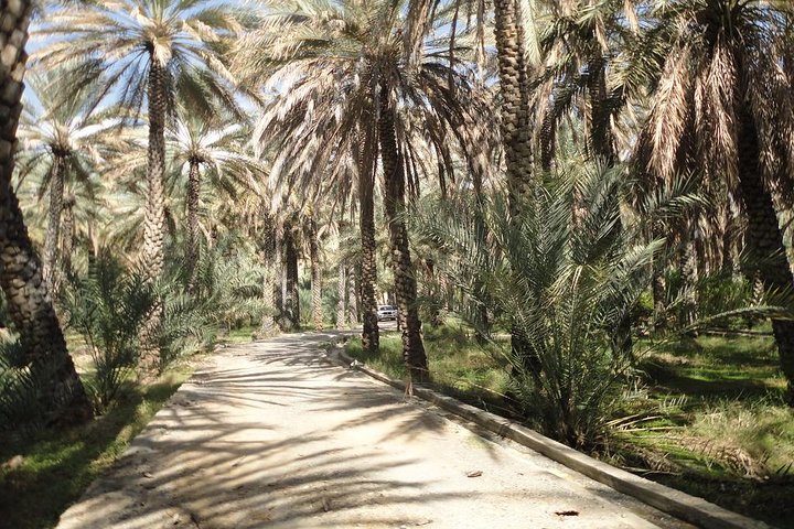 Nizwa full day (outdoor and adventure) - Image 4