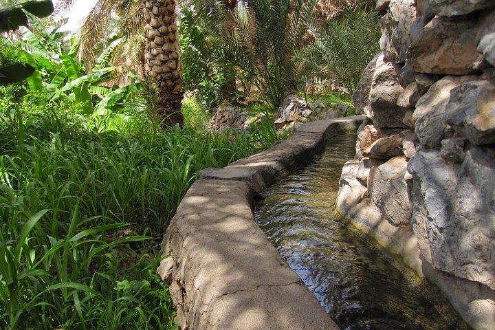 Nizwa full day ( time of a day ) - Image 5