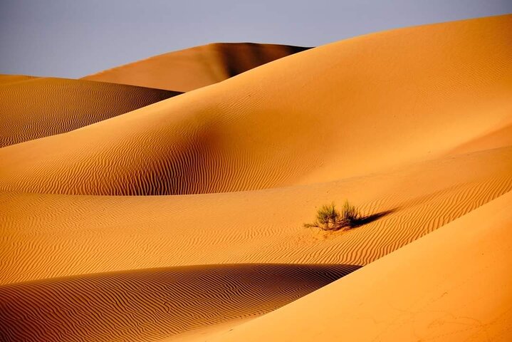 Private 2 Days 1 Night Wahiba Sands Desert and Wadi Bani Khalid Tour - Image 4