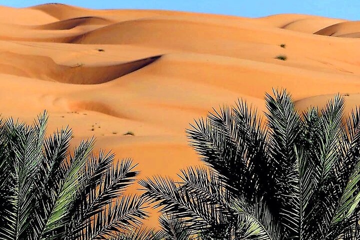 Private 2 Days 1 Night Wahiba Sands Desert and Wadi Bani Khalid Tour - Image 3