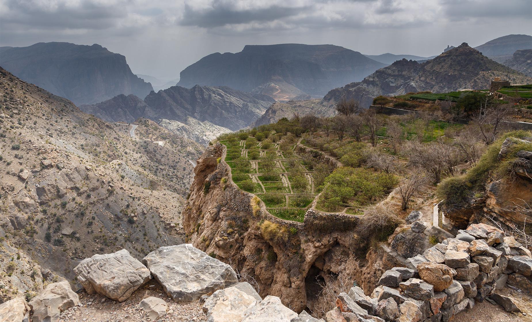 Private Best of Jebel Akhdar - Image 1